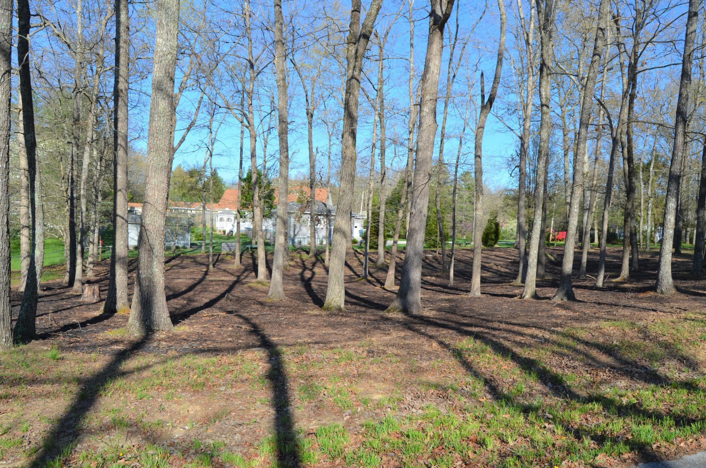 Cardinal Loop Crossville, TN 38555 - Photo 1 of 4 1