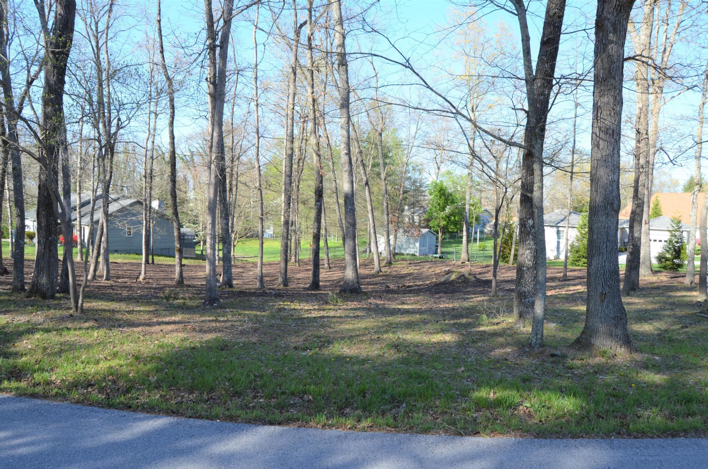 Cardinal Loop Crossville, TN 38555 - Photo 3 of 4 3