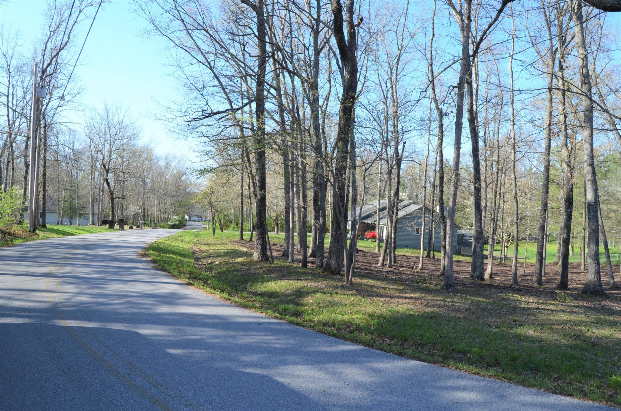 Cardinal Loop Crossville, TN 38555 - Photo 4 of 4 4
