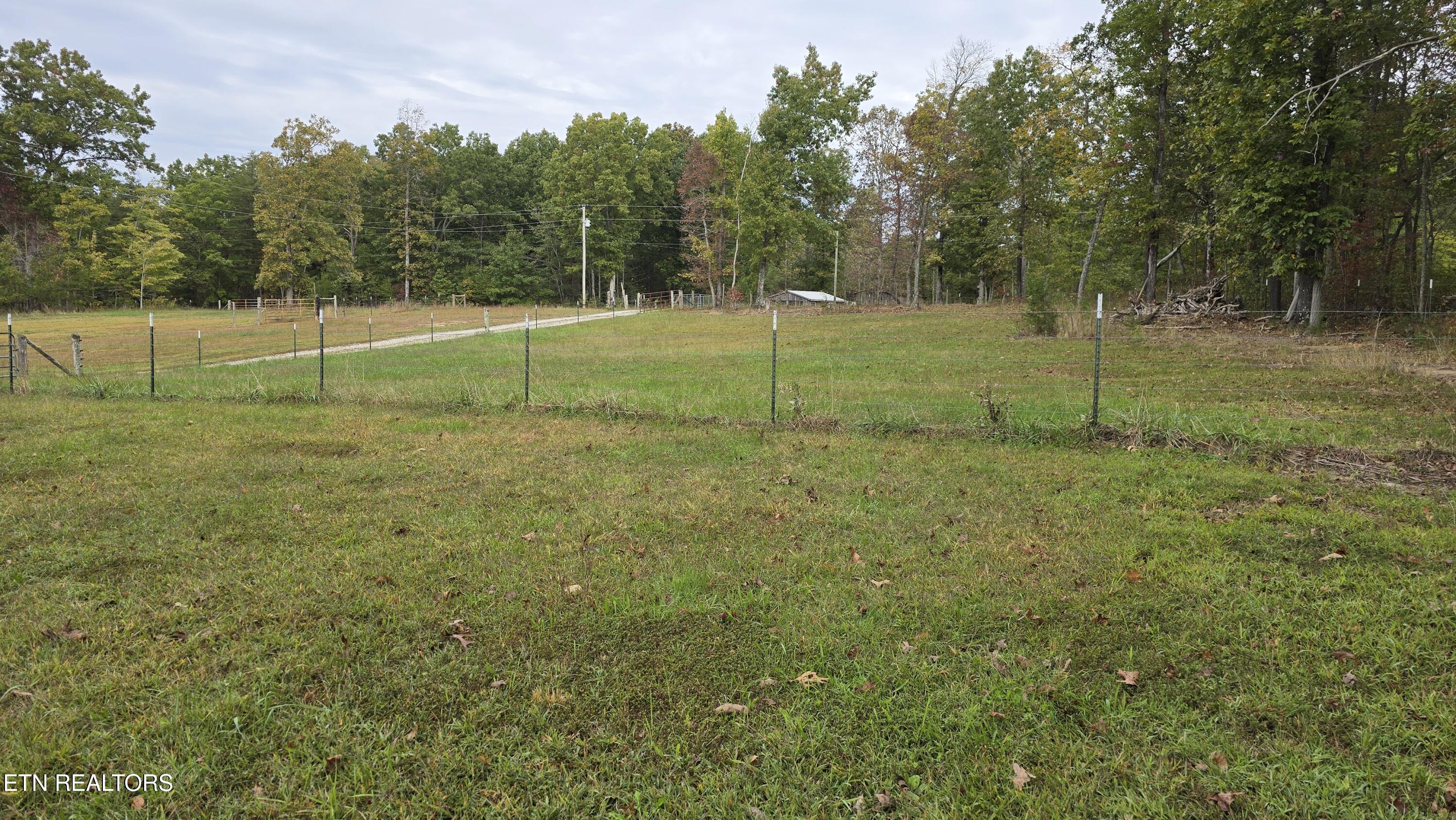381 Grapevine Road Crossville, TN 38572 - Photo 2 of 25 20241015_102735