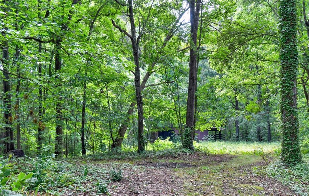 7557 Hampton Road Clemmons, NC 27012 - Photo 25 of 27 Gallery Image 25