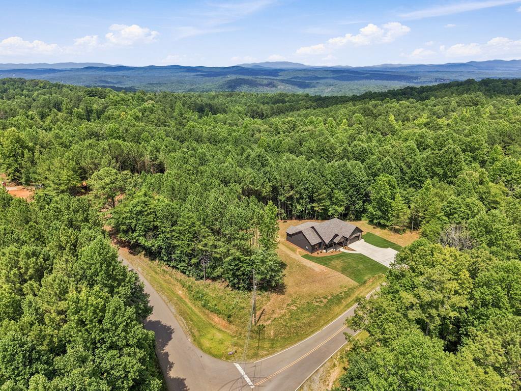 4016 Carver Mill Road Talking Rock, GA 30175 - Photo 35 of 44