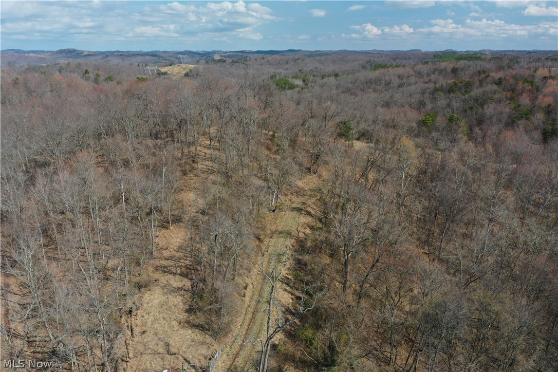 1 Sarvis Fork Road Sandyville, WV 25275 - Photo 14 of 44 Gallery Image 14
