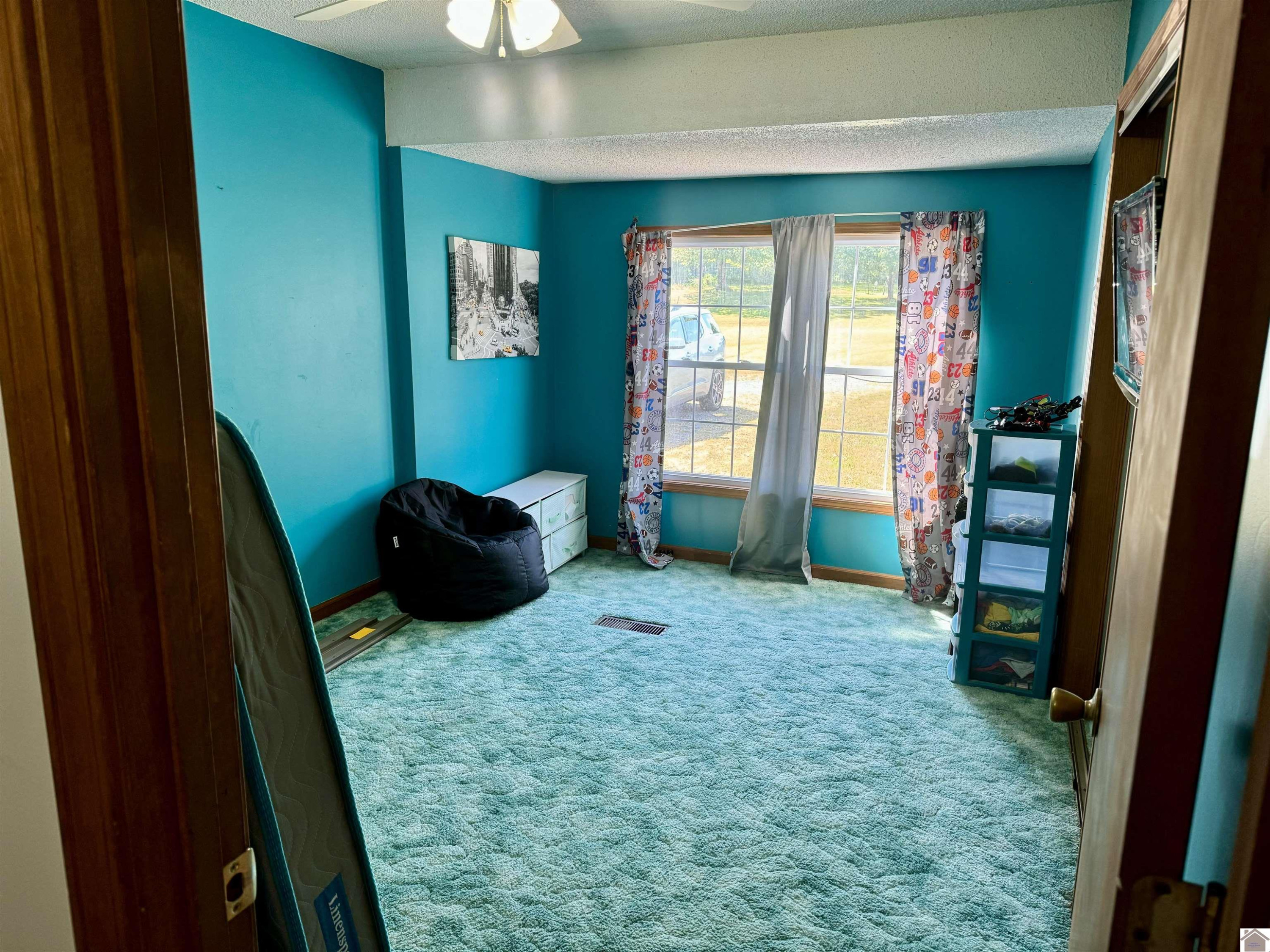 1354 McElrath Road Dexter, KY 42036 - Photo 17 of 30 Photo 17