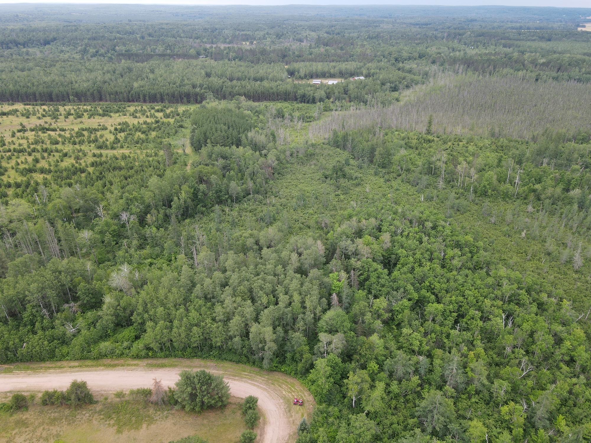 W39-xx Frog Creek Road Minong, WI 54859 - Photo 12 of 29