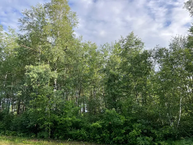 $284,900 | W39-xx Frog Creek Road, Minong, WI 54859