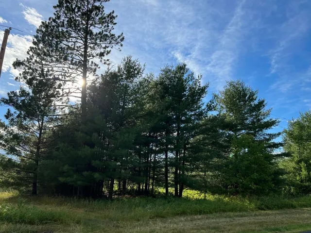 $284,900 | W39-xx Frog Creek Road, Minong, WI 54859