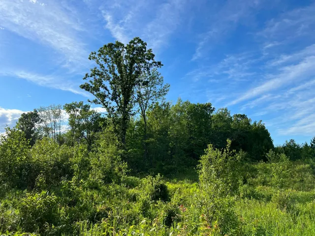 $284,900 | W39-xx Frog Creek Road, Minong, WI 54859