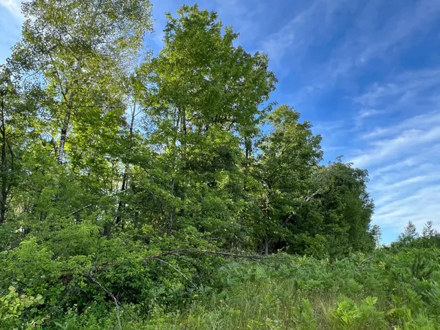 $284,900 | W39-xx Frog Creek Road, Minong, WI 54859