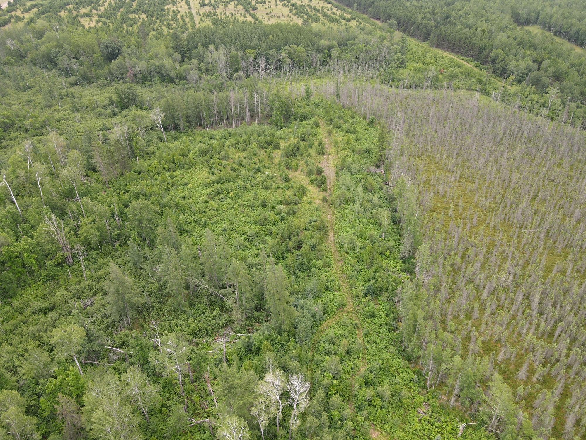 W39-xx Frog Creek Road Minong, WI 54859 - Photo 27 of 29