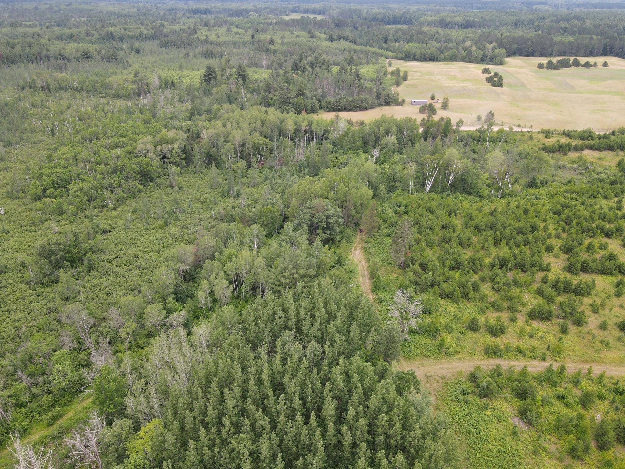 W39-xx Frog Creek Road Minong, WI 54859 - Photo 28 of 29