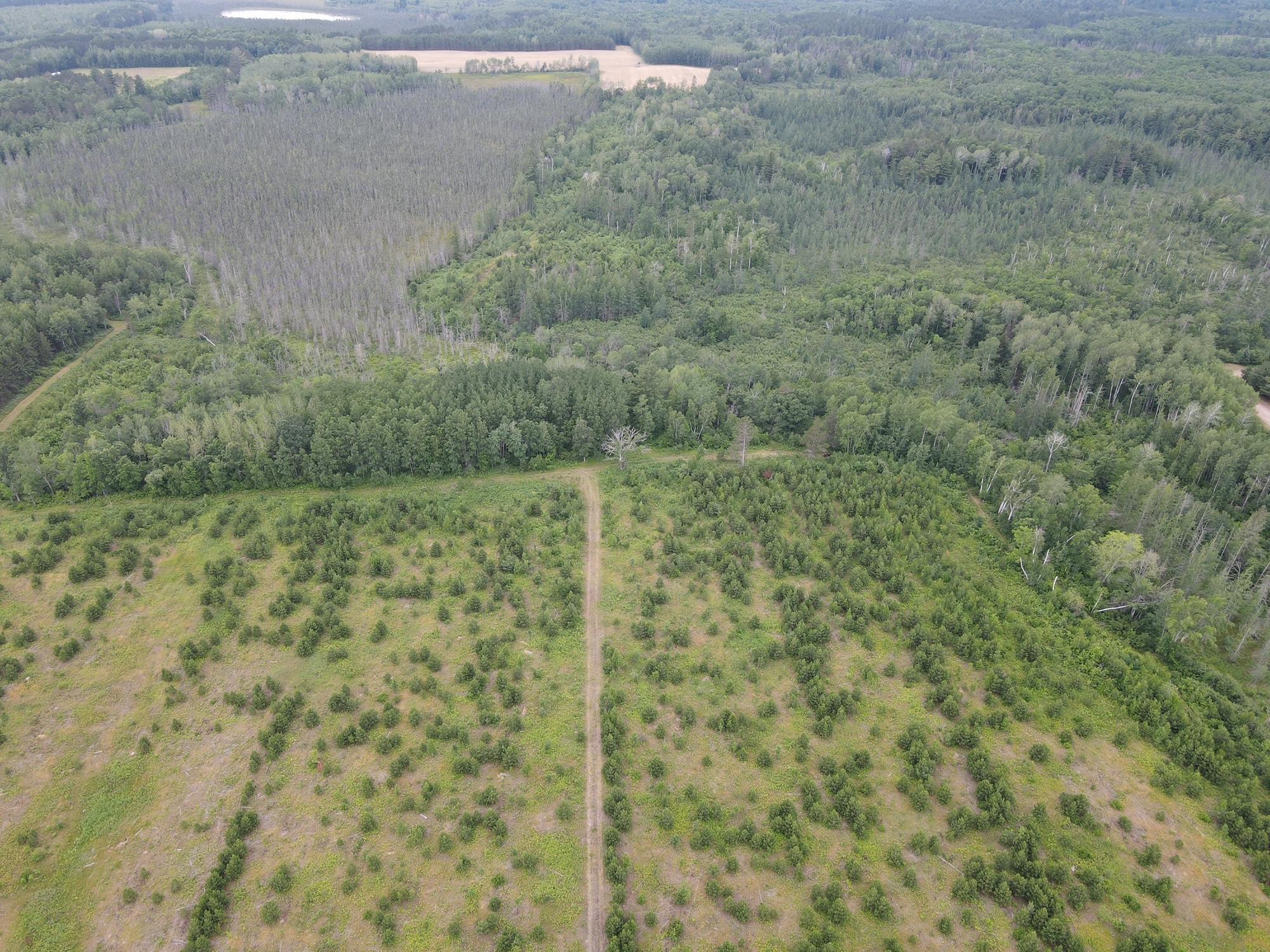 W39-xx Frog Creek Road Minong, WI 54859 - Photo 29 of 29