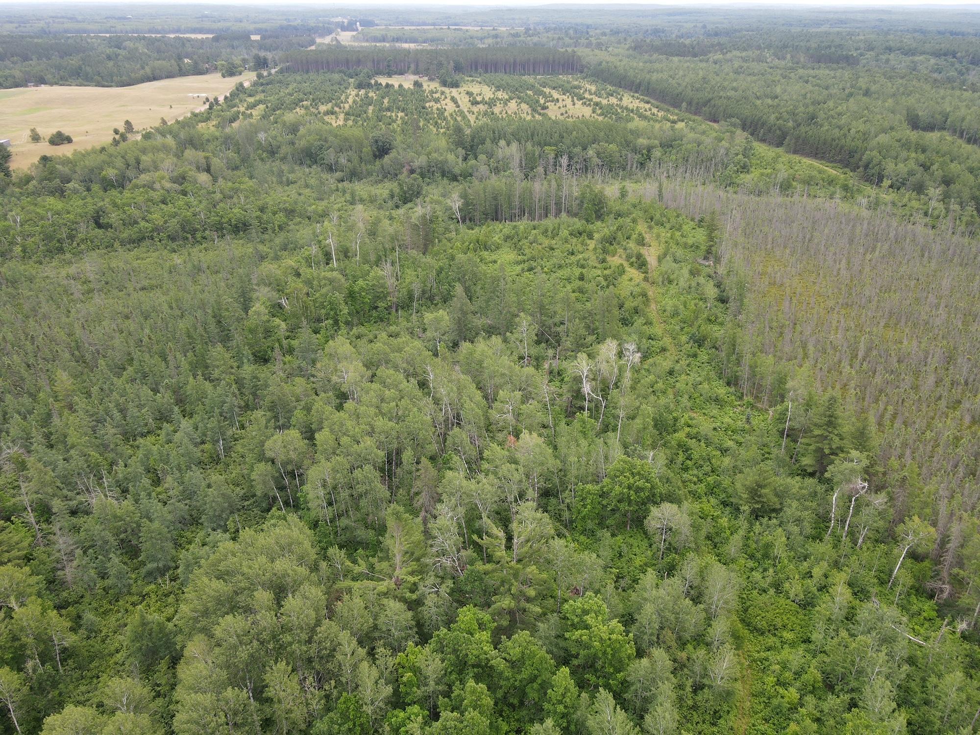 W39-xx Frog Creek Road Minong, WI 54859 - Photo 3 of 29