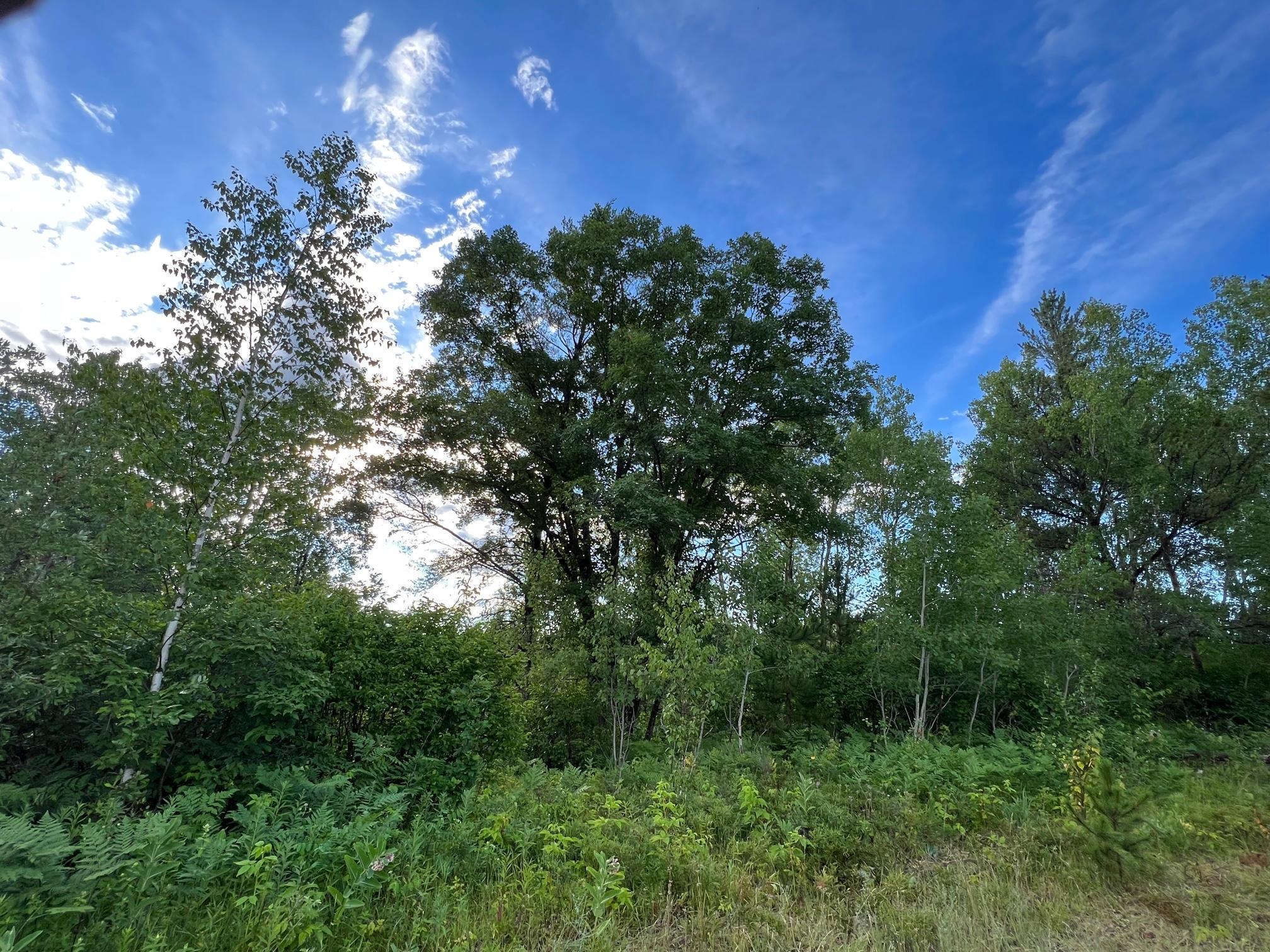 W39-xx Frog Creek Road Minong, WI 54859 - Photo 4 of 29