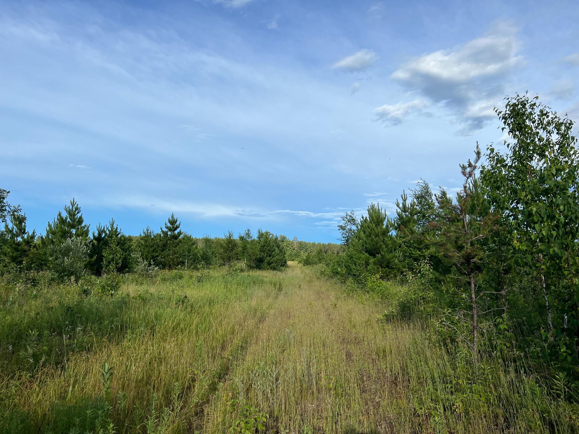 W39-xx Frog Creek Road Minong, WI 54859 - Photo 5 of 29