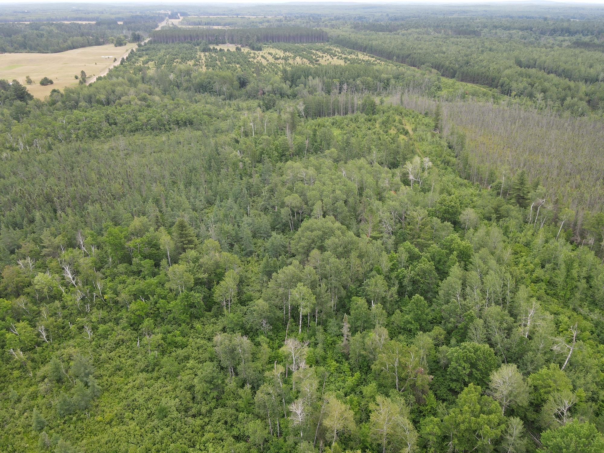 W39-xx Frog Creek Road Minong, WI 54859 - Photo 6 of 29