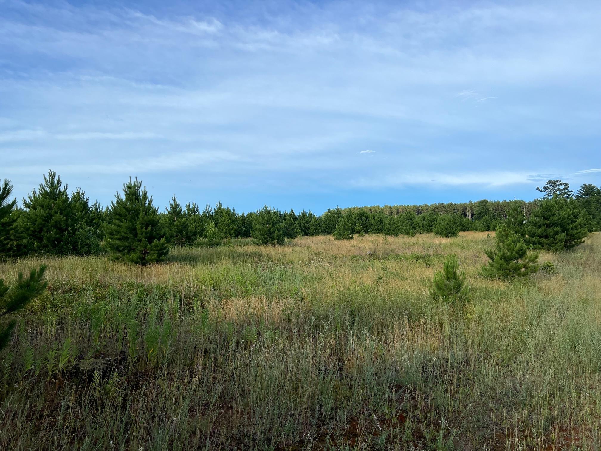 W39-xx Frog Creek Road Minong, WI 54859 - Photo 7 of 29