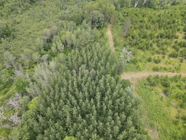 $284,900 | W39-xx Frog Creek Road, Minong, WI 54859