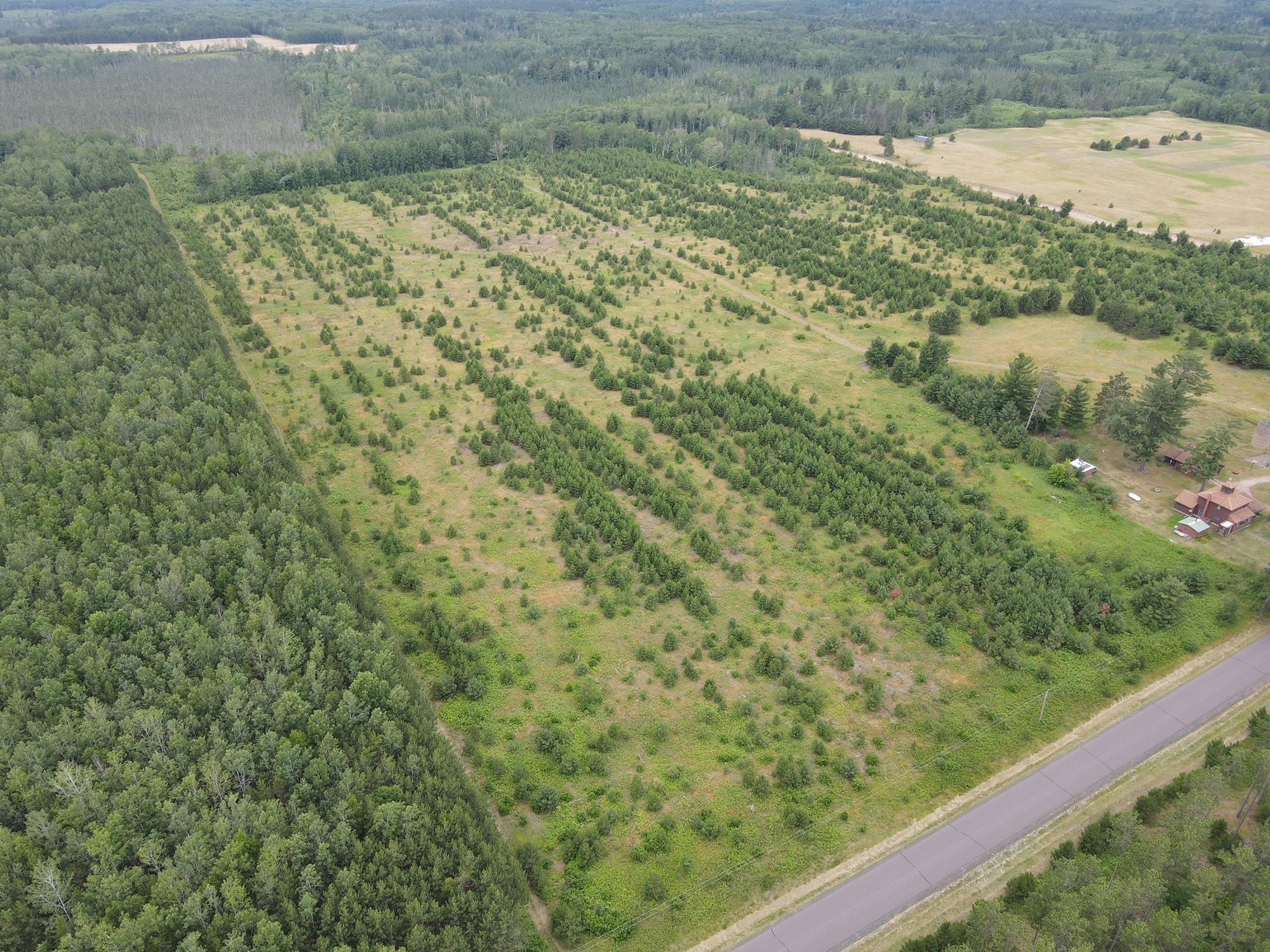 W39-xx Frog Creek Road Minong, WI 54859 - Photo 9 of 29