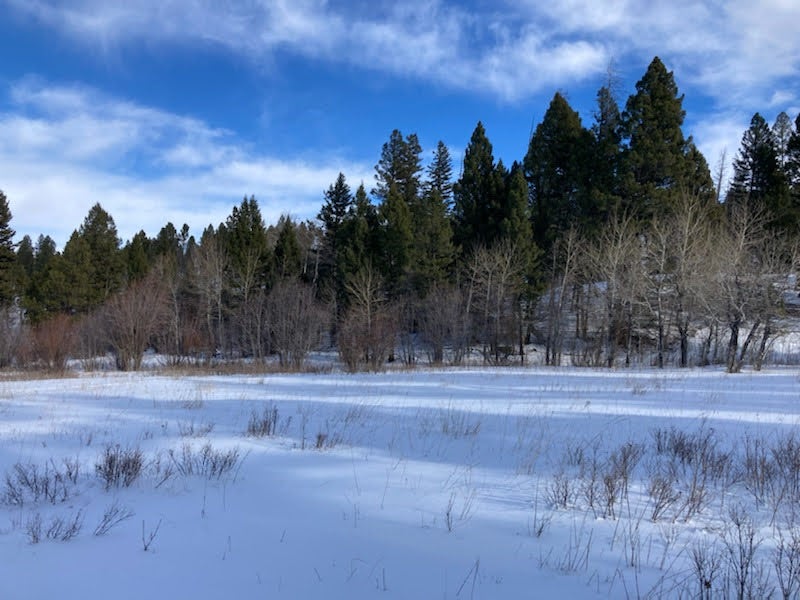 3595 Bear Gulch Road Lincoln, MT 59639 - Photo 54 of 57 Gallery Image 54