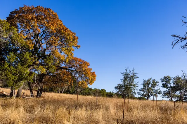 $799,900 | 230 Cade Loop, Ingram, TX 78025