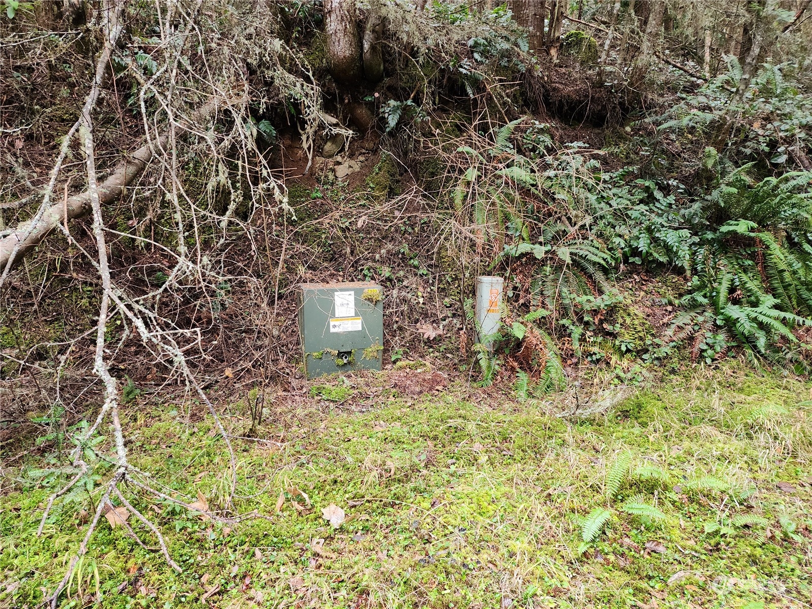 9999 Broadview Drive Sequim, WA 98382 - Photo 11 of 27 a view of a outdoor space with a street