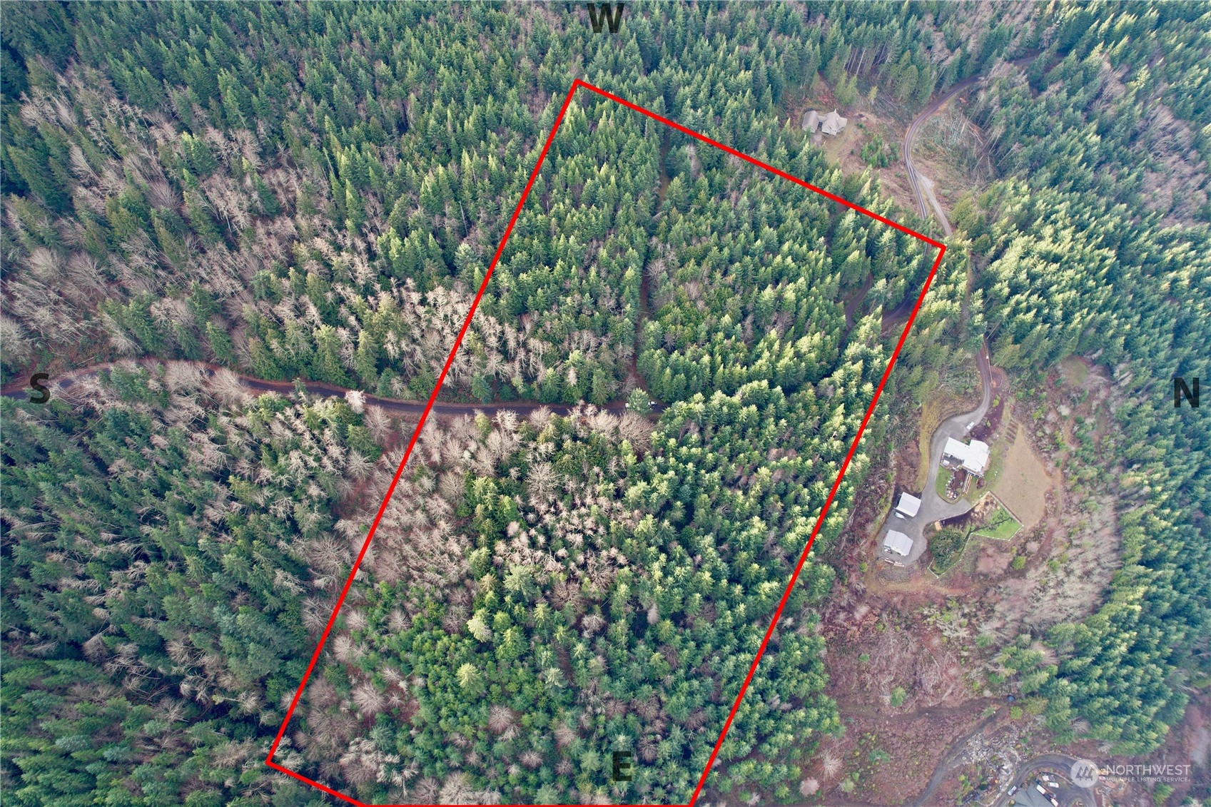 9999 Broadview Drive Sequim, WA 98382 - Photo 12 of 27 a picture of flowers