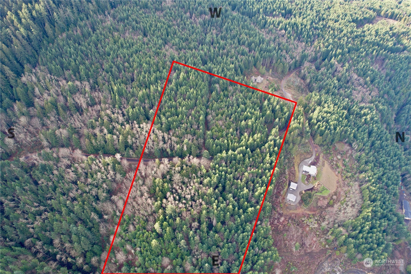 9999 Broadview Drive Sequim, WA 98382 - Photo 16 of 27 a close up of a flower in a garden