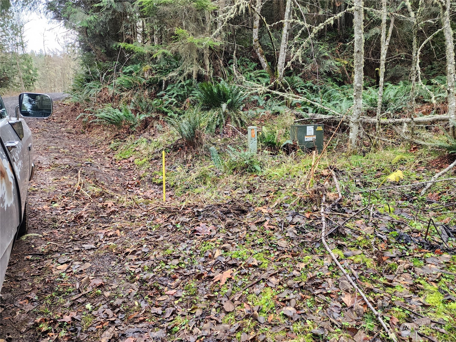 9999 Broadview Drive Sequim, WA 98382 - Photo 17 of 27 a view of a yard with plants and large trees