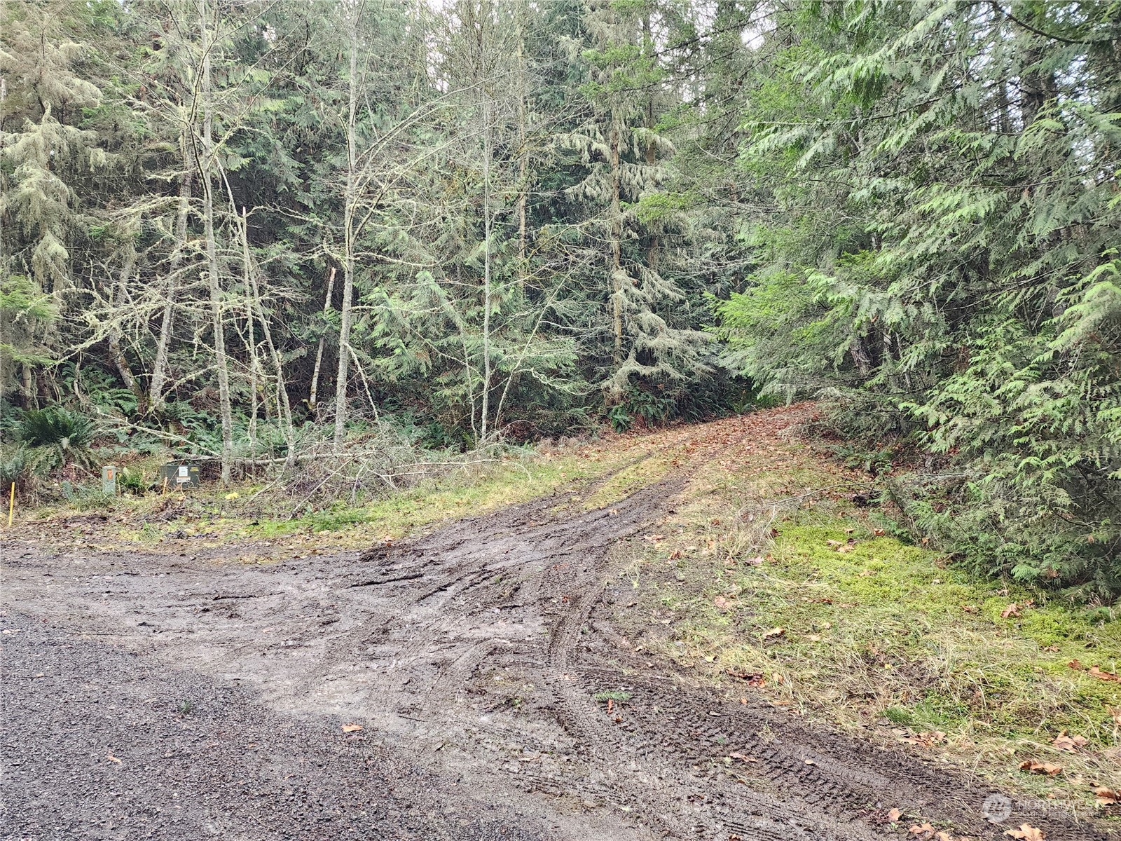 9999 Broadview Drive Sequim, WA 98382 - Photo 19 of 27 a view of a yard with trees