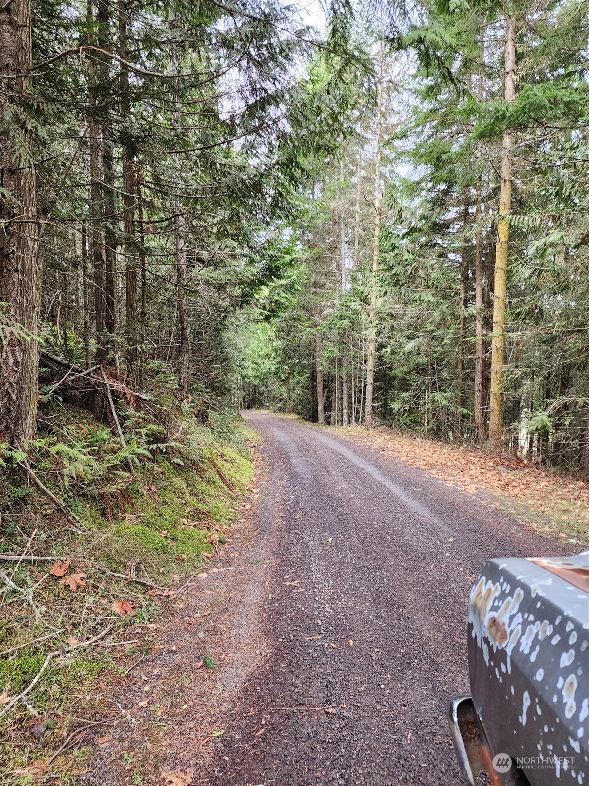 9999 Broadview Drive Sequim, WA 98382 - Photo 20 of 27 a view of a yard with plants and trees