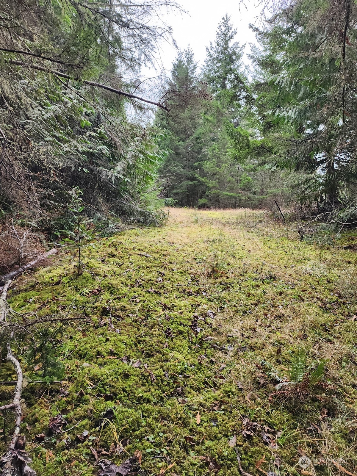 9999 Broadview Drive Sequim, WA 98382 - Photo 4 of 27 a view of a yard with an outdoor space