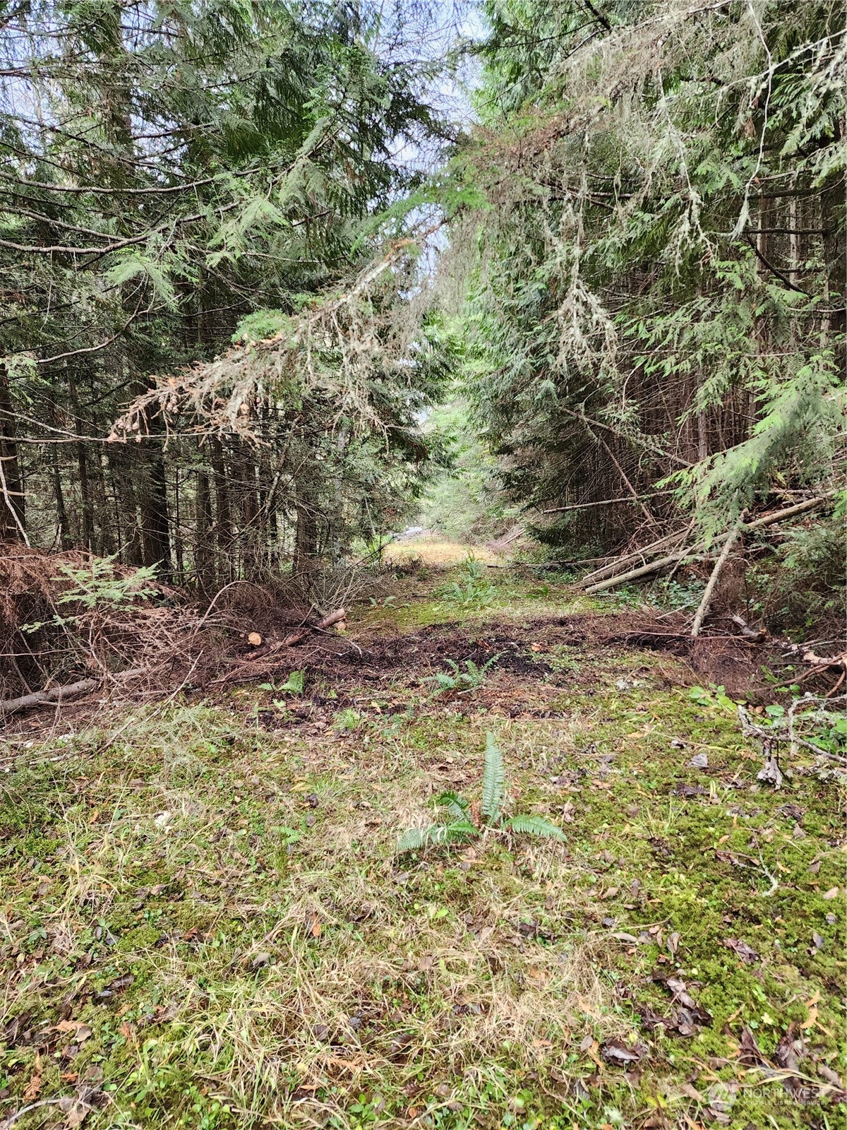 9999 Broadview Drive Sequim, WA 98382 - Photo 5 of 27 a view of a yard with plants and wooden fence
