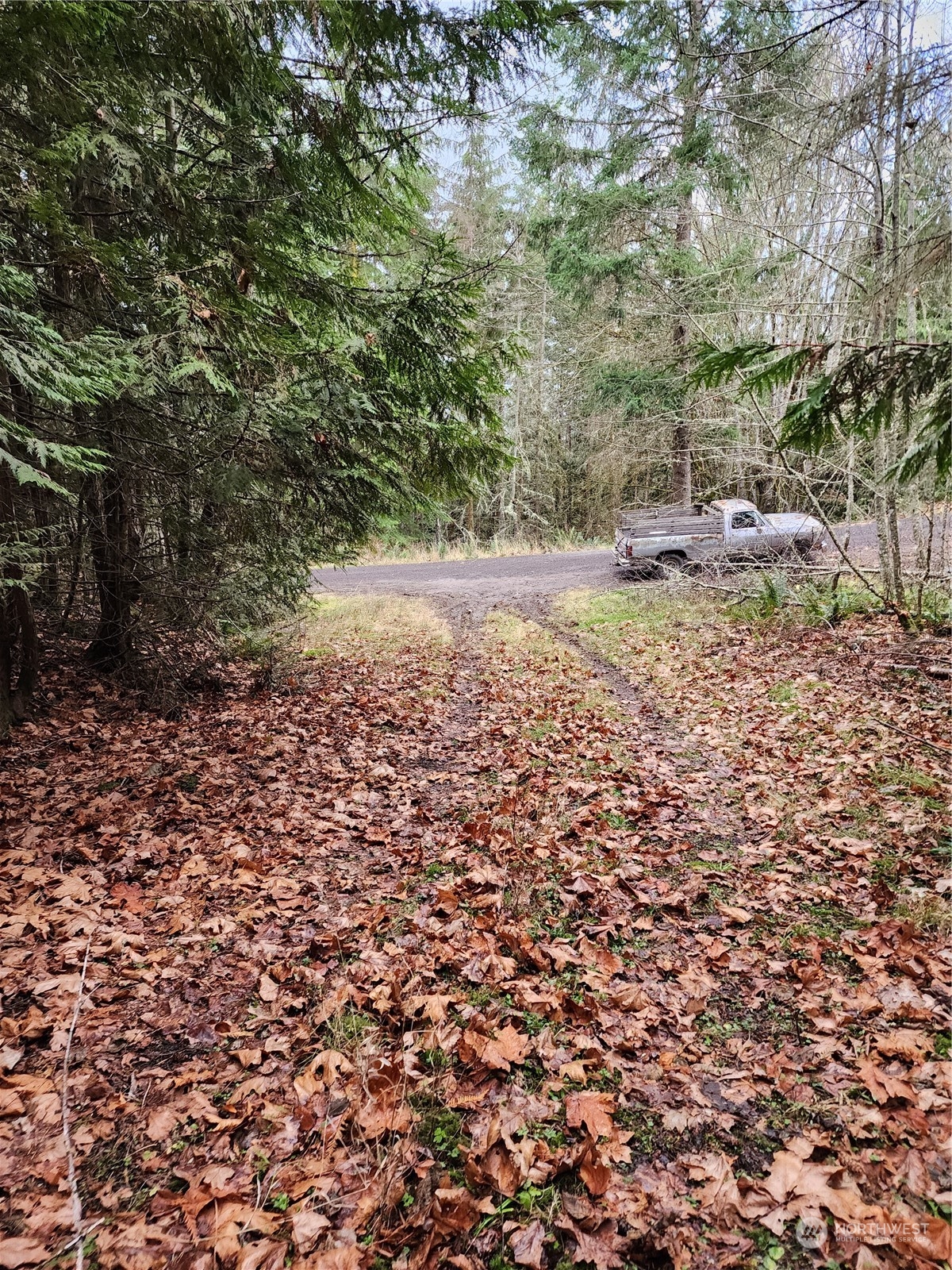 9999 Broadview Drive Sequim, WA 98382 - Photo 9 of 27 a view of backyard with green space