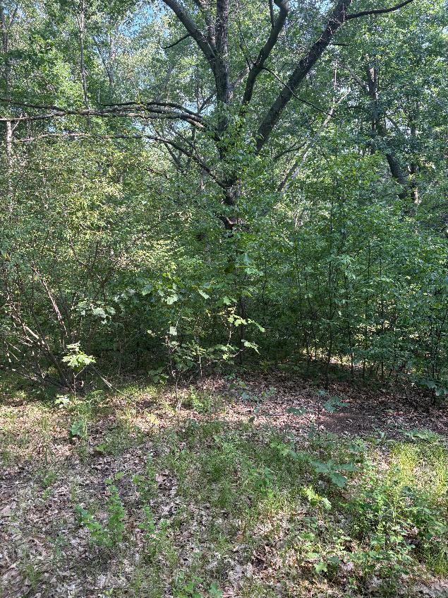8159 Roosevelt Road Mecosta, MI 49332 - Photo 3 of 3 Lot 2