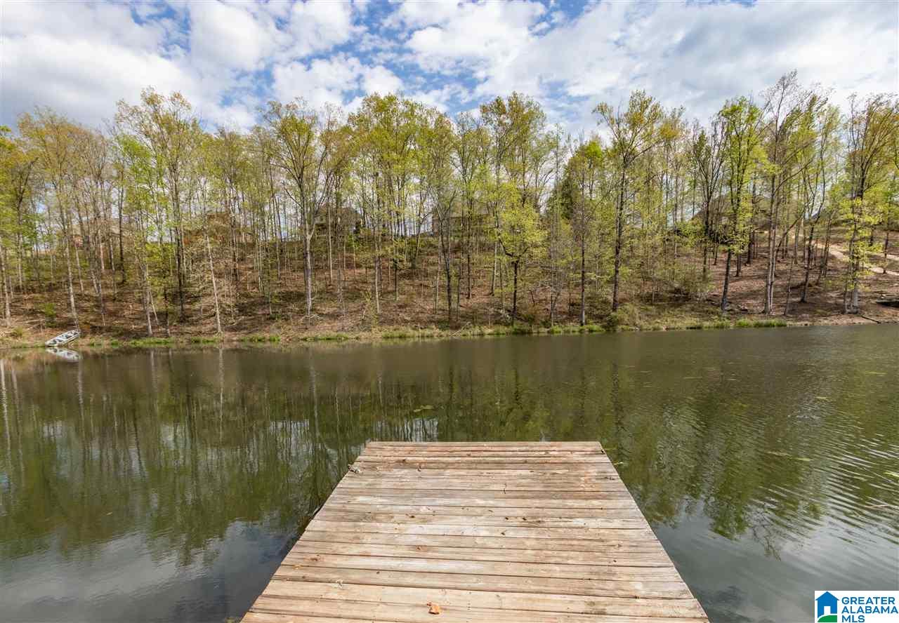 2860 Aster Lake Road Helena, AL 35022 - Photo 49 of 49