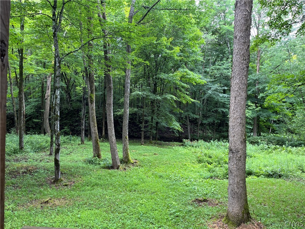 9657 Gardner Road Pinckney, NY 13626 - Photo 11 of 29 Gallery Image 11