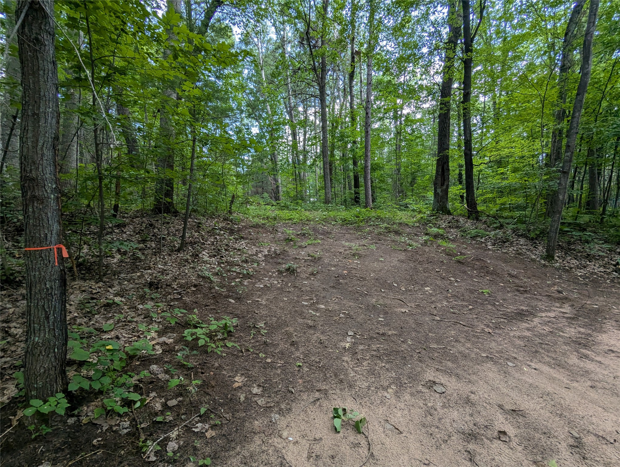 Lot 3 Fosmo Drive Webster, WI 54893 - Photo 2 of 13