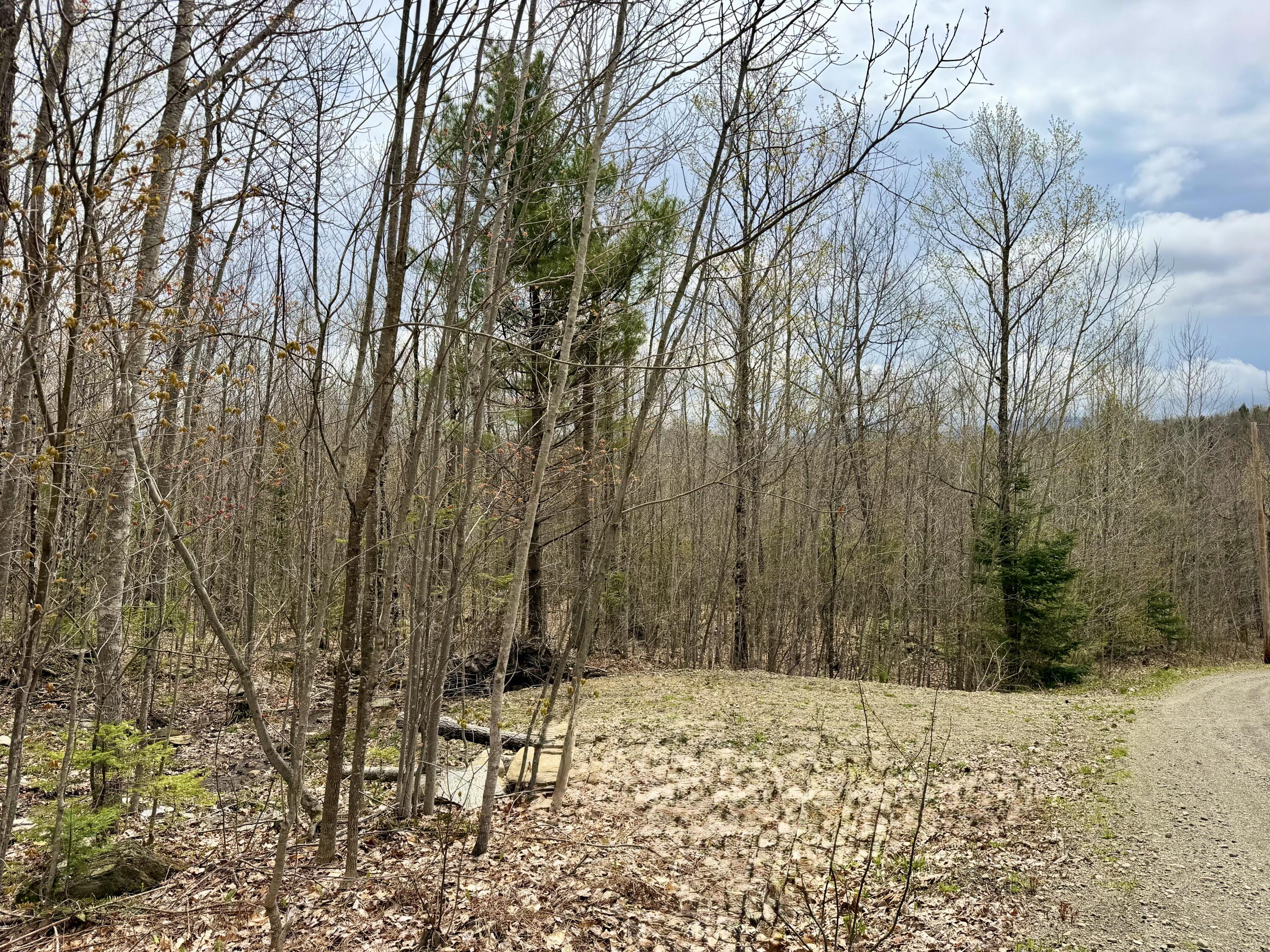 Lot 2 Mooseley Ridge Road Phillips, ME 04966 - Photo 10 of 24