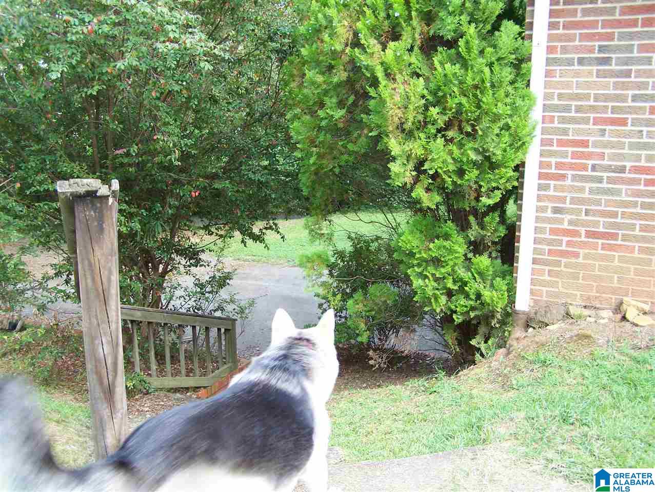 1835 Alexandria Road Weaver, AL 36277 - Photo 29 of 34