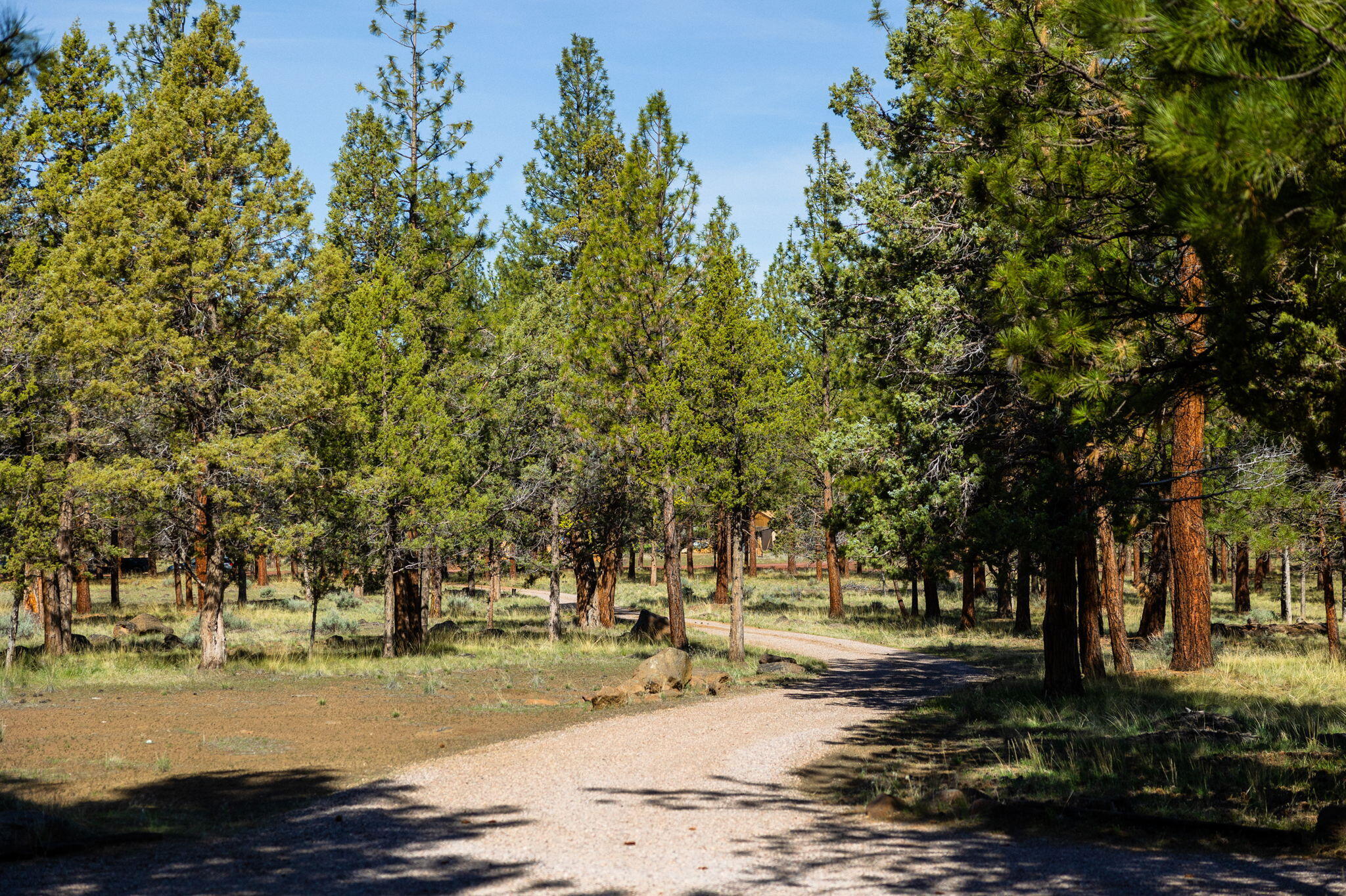 69430 Green Ridge Loop Sisters, OR 97759 - Photo 28 of 33 Driveway and Grounds
