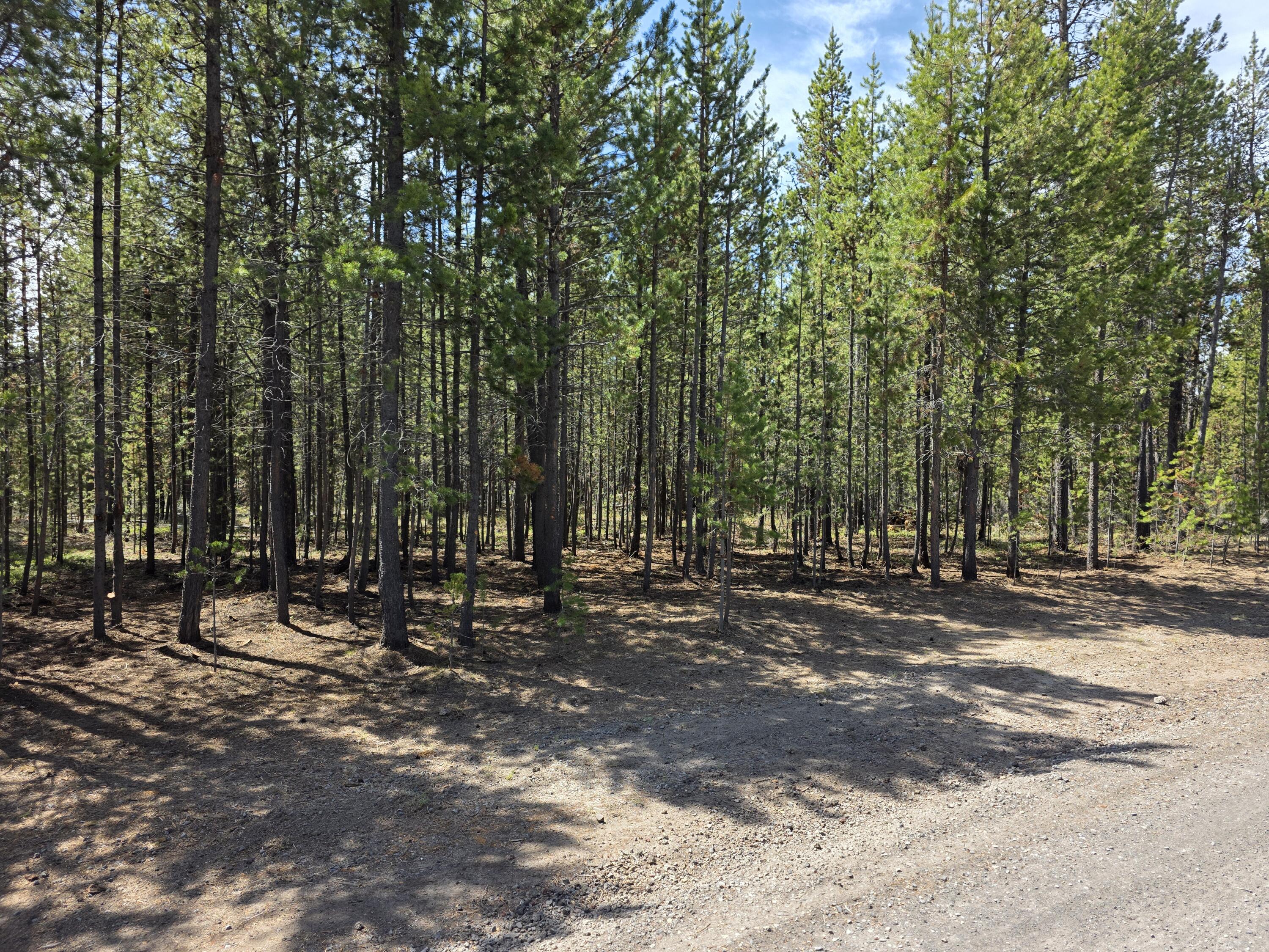 17109 Elsinore Road Bend, OR 97707 - Photo 1 of 14 1000003702