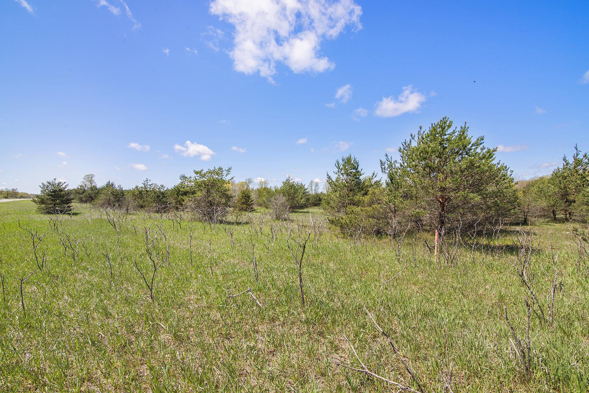 2 North 9th Road Mesick, MI 49668 - Photo 8 of 9