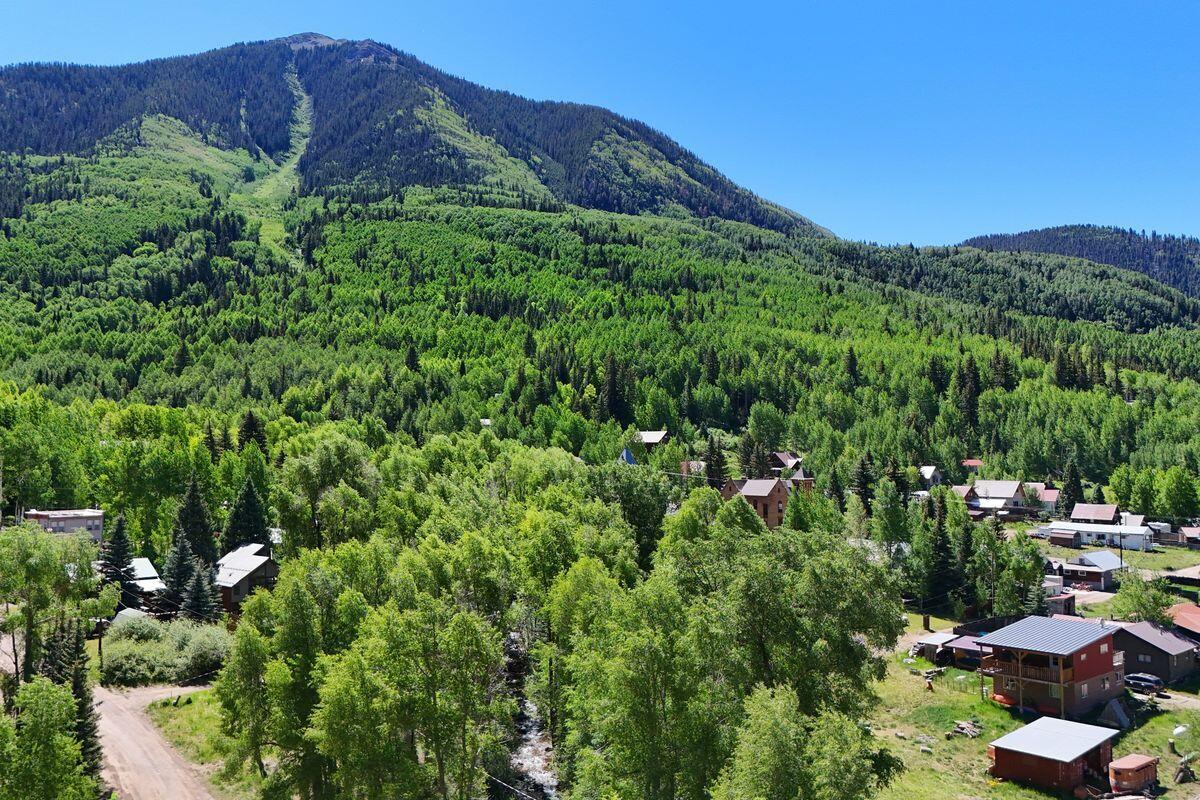 27 North Commercial Street Rico, CO 81332 - Photo 8 of 17 a view of a lush green field with mountains in the background