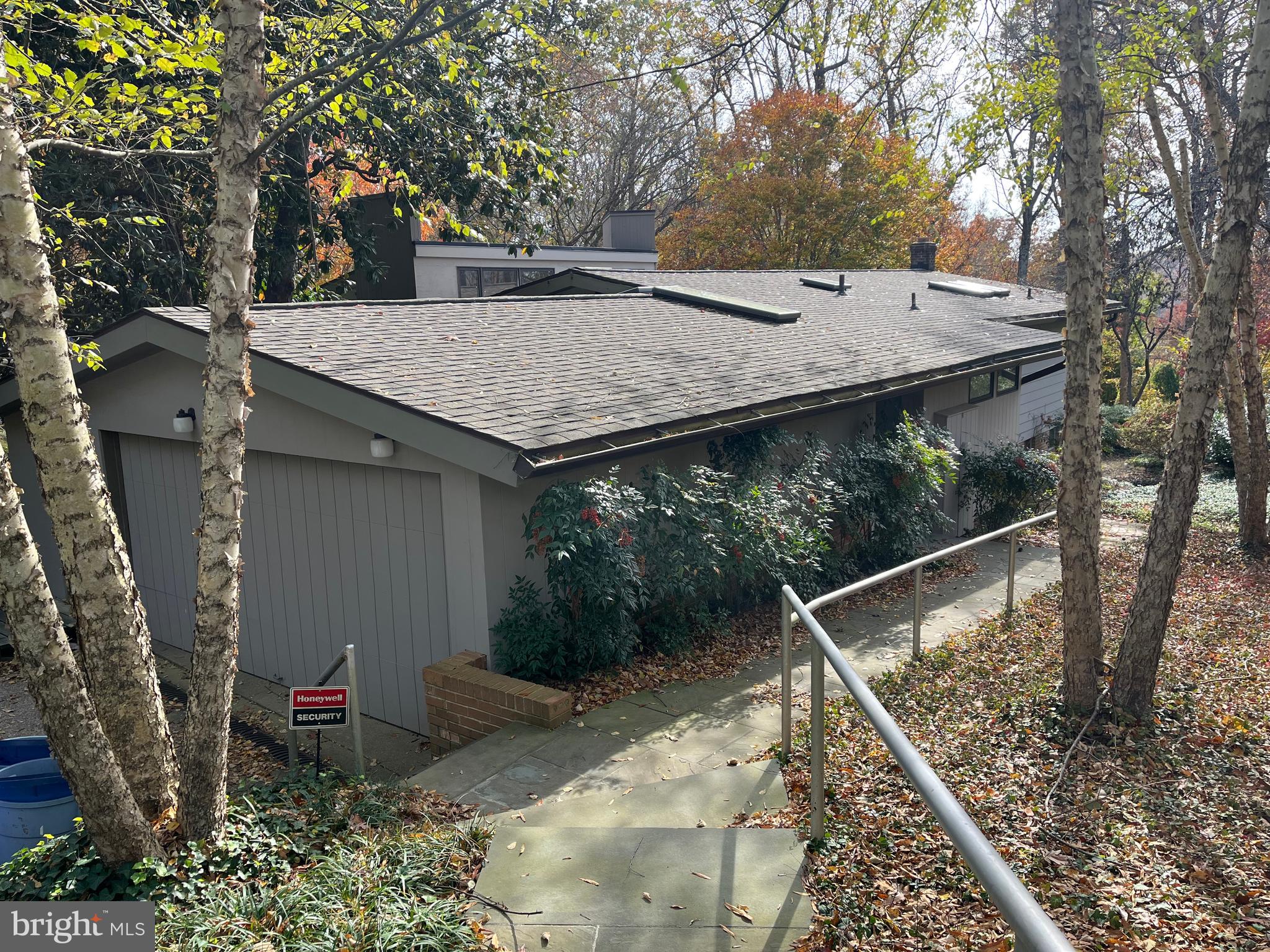 a view of a backyard with a tree