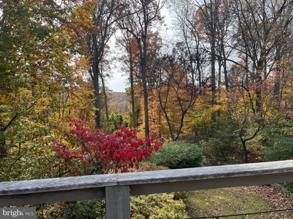a view of a garden from a window