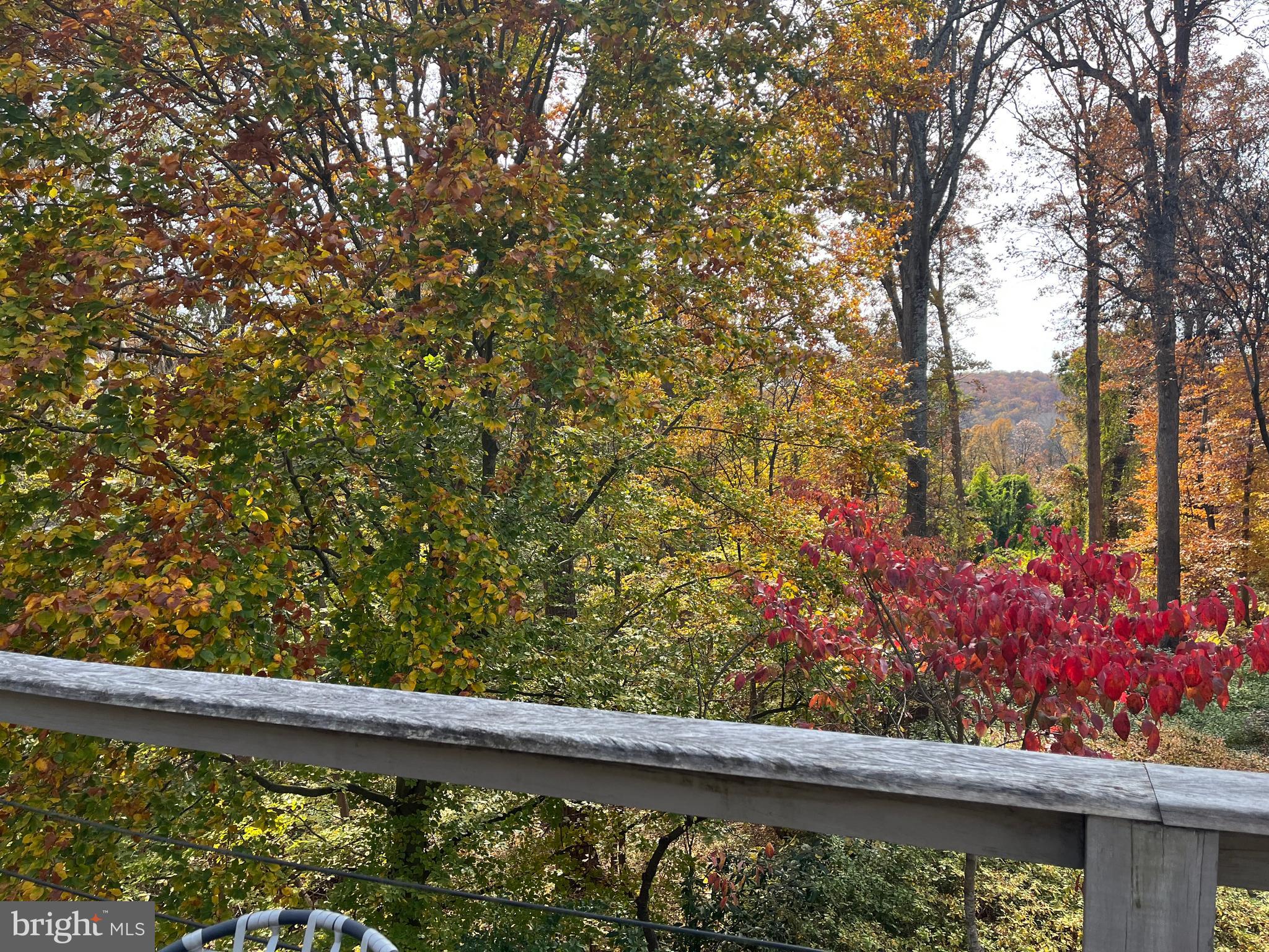 5651 Bent Branch Road Bethesda, MD 20816 - Photo 13 of 16 a view of a garden from a window