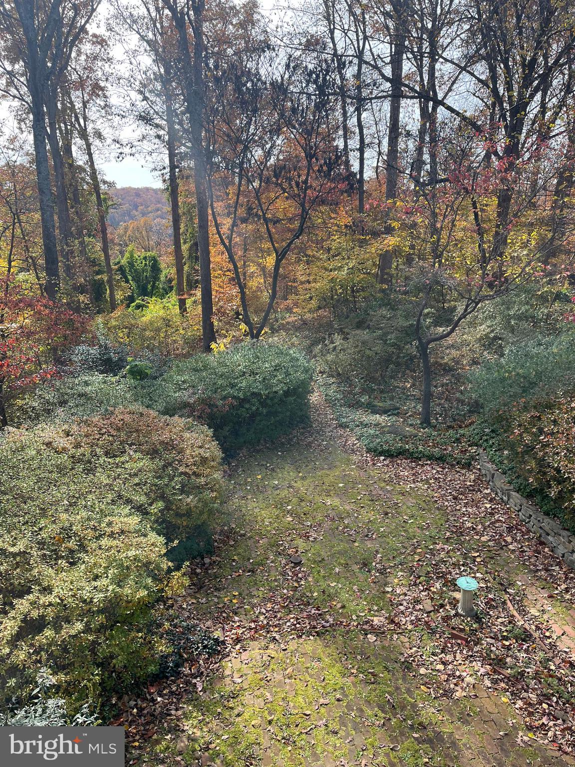 5651 Bent Branch Road Bethesda, MD 20816 - Photo 14 of 16 a backyard of a house with lots of green space