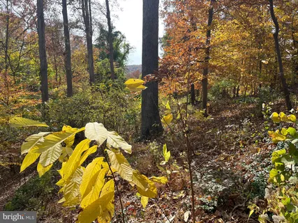 $1,700,000 | 5651 Bent Branch Road, Bethesda, MD 20816