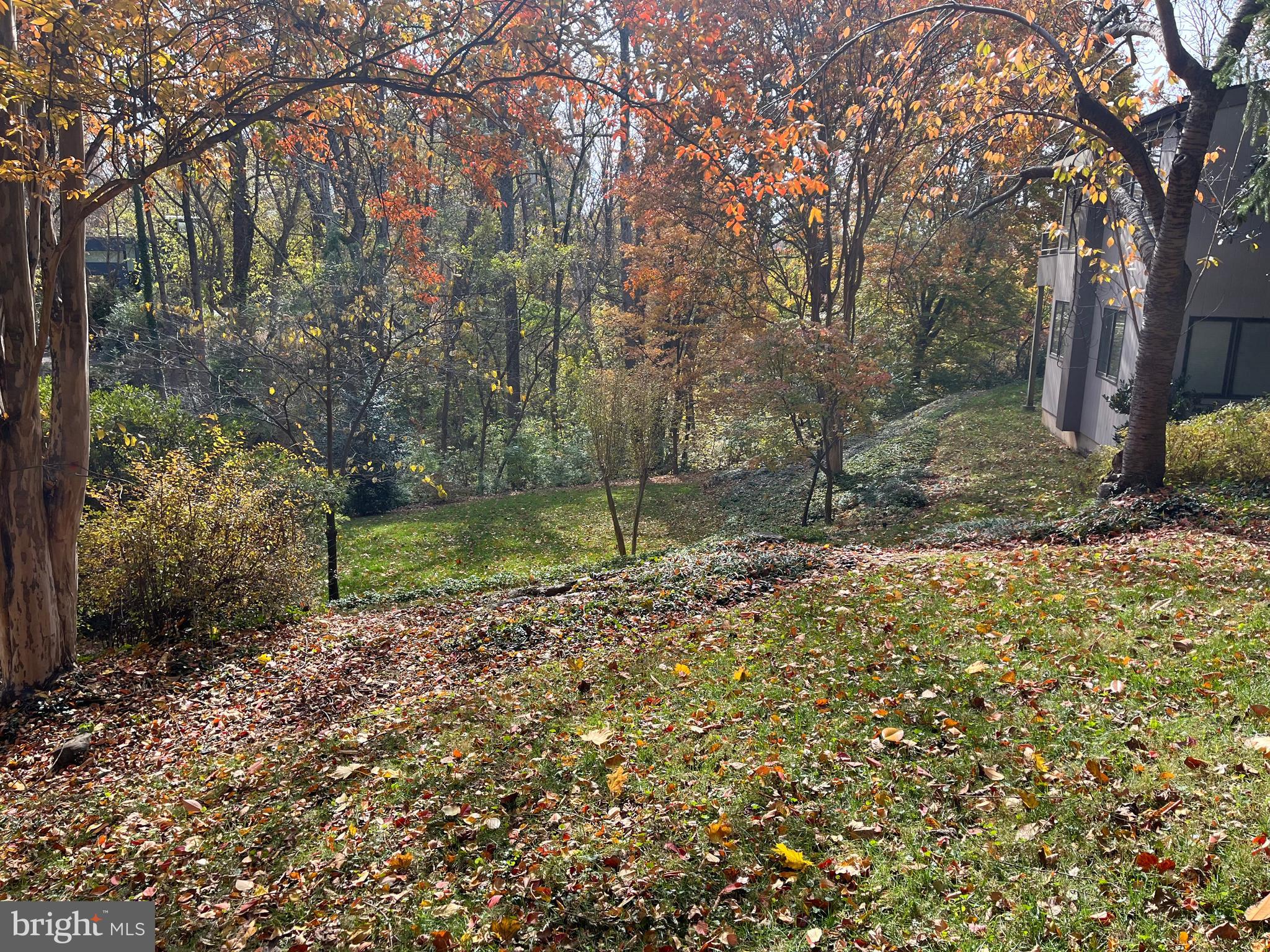 5651 Bent Branch Road Bethesda, MD 20816 - Photo 16 of 16 a backyard of a house with lots of green space